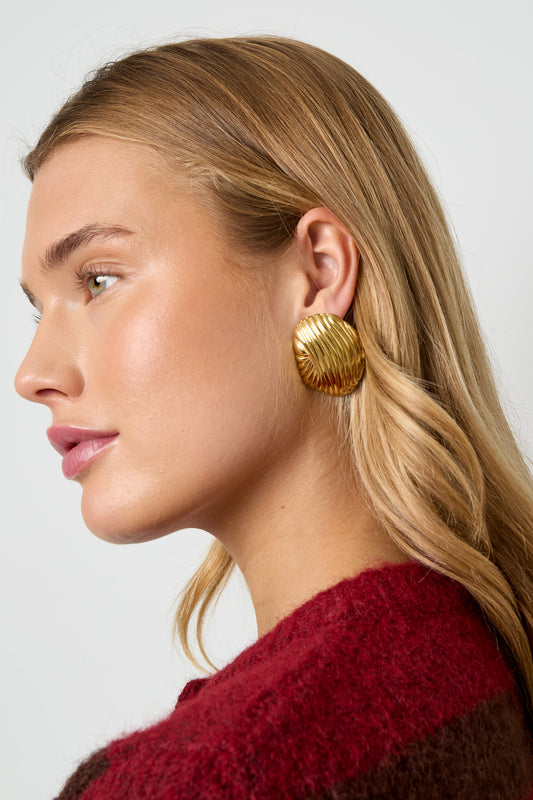 Stainless Steel Stud Earrings irregular shape Casual Daily Simple Series Women's jewelry