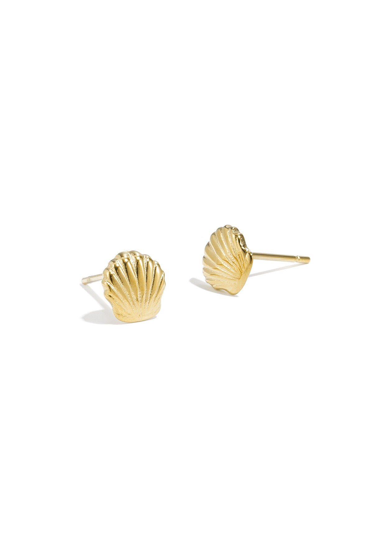 Oorbellen shell studs